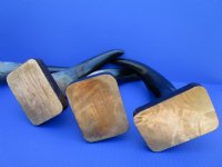 Wholesale Polished Cattle Horn, Cow Horn Sculpture Mounted on Wood Base 11 inch to 15 inch - 2 pcs @ $10.00 each