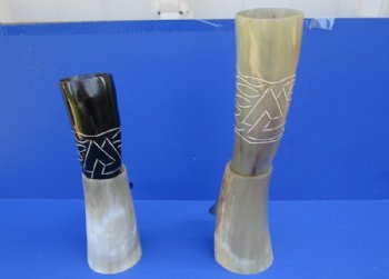 Wholesale Polished Engraved Cattle/Cow Horn with stand - 12 inches to 15 inches - $17.50 each; 8 pcs @ $15.50 each