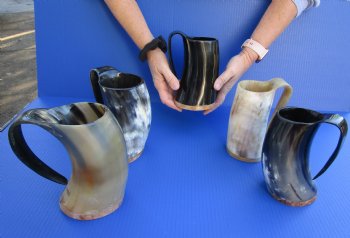 Wholesale 500 ml Polished Cow/Cattle horn mug with wood base  - 2 pcs @ $14: 12 pcs @ $12.50 each