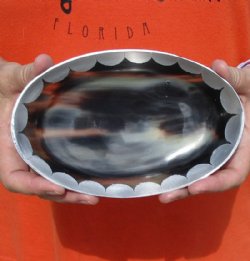 Oval Shaped Polished Buffalo Horn Bowl, Ox Horn Bowl with aluminum scallop design decorative edge 7 inches - Available now for $20.00