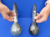 2 pc lot of Polished Ox Horn, Cow Horn Soup Spoon and Spork set for sale 9-1/4 inches buy now for $20.00