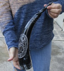17 inch Polished Carved Bird Cattle/Cow horn - $26
