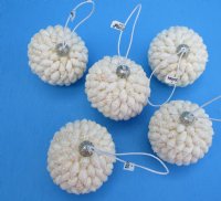 2 inch Wholesale Small White Decorative Nassa ball ornaments - 5 pcs @ $2.50 each; 30 pcs @ $2.20 each