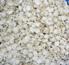 #2 Grade Up to 1 inch White Cardium Ribbed Cockle shells - $5.00 a Gallon; 5 gallons @ $4.50 a gallon