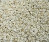 Wholesale Tiny White Cardium Ribbed Cockle Shells 1/2 inches to 1 inch - Case of 25 kilos @ $2.25 a kilo