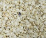 Wholesale small white dogwood clams Under 1" for shell crafts $6.50 a gallon; 5 gallons @ $5.85 a gallon