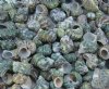 Wholesale Silver Mouth Green Turban Shells 3/4 inch to 2 inches - Packed 2 kilos @ $4.00 a kilo bag; 