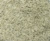Wholesale Dentalium Tusk Shells Under 1 inch, bulk white shells by the gallon -  $12.00 a gallon 