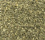 Wholesale tiny black nassarius snail shells 1/2 inch $8.50 a gallon; 5 gallons @ $7.65 a gallon