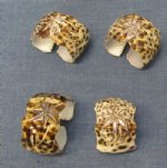 Carved Flower Tiger Cowry Seashell Napkin Rings Wholesale - $4.80 a dozen; 10 dozen @ $4.32 a dozen