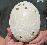 Carved Ostrich Eggs