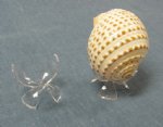 2-1/4 inch Wholesale Plastic Acrylic Egg Display Stands for Eggs, Glass Paperweight and Seashells Packed 12 pieces @ .85 each; 48 (4 packs) @ .765 each