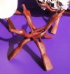 10 inches Large Wood Display Stands, Wood Shell Stands Wholesale (Shells Shown are NOT Included)-$17.30 a dozen; 3 dozen @ $15.60 a dozen 