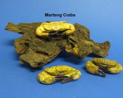 Dried Crabs - Hand Selected