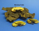Dried Crabs - Hand Selected