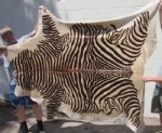 Large Zebra Print Cowhide Area Rug 84" x 77" (You are buying the one pictured)