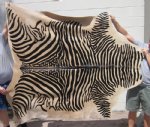 80" x 75" Black Zebra Print on Beige Cowhide Area Rug (You are buying the rug pictured)