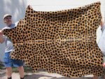 Giraffe Print Cowhide Rug 84-3/4 inches by 65 inches(You are buying the rug pictured)