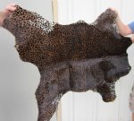 Leopard Print Calf Skin Rug 37" x 32" (You are buying the calfskin pictured)