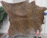 Leopard Print Cow Skin Rug 77" long x 66-1/2" wide (You are buying the cow skin rug pictured)