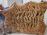 92" by 68" Tiger Print Cow Skin Rug (You are buying the cow skin pictured)
