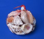 200 Grams Mixed Natural Shells in Open Weave Net Shell Bag Wholesale, Shell Net Bags -  Packed 10  @ .65 ea;