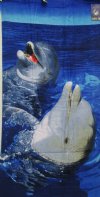 2 Dolphins Playing in the Blue Ocean 30"x60" Fiber Reactive Beach Towels Wholesale - Pack of 6 @ $6.20 ea; Case of 12 @ $5.85 each