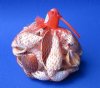 300 gram Red Net Shell Bags Wholesale, Shell Net Bags filled with assorted seashells - Packed: 10 @ .80 ea;