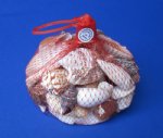 500 grams of Mixed Shells Wholesale  in Red Net Bags, Net Shell Bags - Bag of 10 @ $1.30 each; 