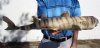 23 inches Taxidermy Bullhead Shark Mount - You are buying the shark mount pictured for $55.00
