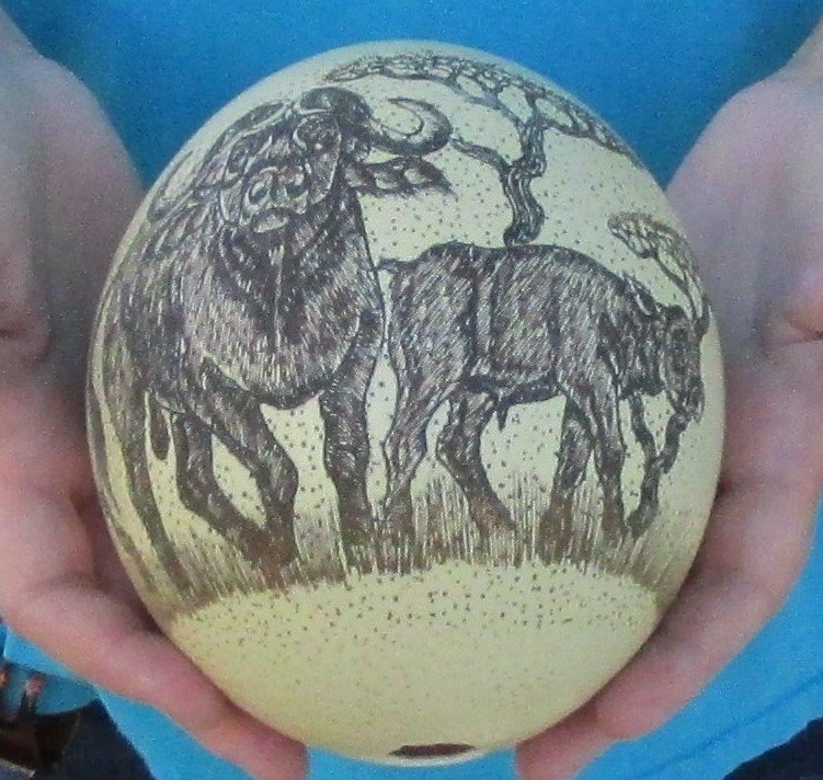 6 two Cape buffalo Scrimshaw Ostrich Egg