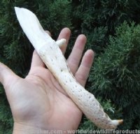 Alligator Bone Knives - Hand Selected Pricing