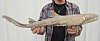 30 inches Brown Shark Mount - You are buying the brown shark mount shown for $50.00