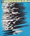 100 African Porcupine Quills 5 inches to 8-1/2 inches - You are buying the quills shown for .67 each
