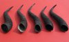 5 Piece Male Springbok Horns 9" to 11" long @ $25.00 (You are buying the 5 horns in the photo priced $5.00 each.)