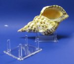4 Leg 4-1/4" Plastic Rock Stand and Acrylic Shell Stand Wholesale Packed 12 pieces @ $1.15 each; 48 pieces (4 packs) @ $1.035 each