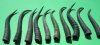 10 Bulk Female Springbok Horns Antlers 6-3/4" to 8-1/2" - You are buying the 10 horns shown for $4.00 each