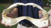 16 inch Shark Jaw (You are buing the one shown) for $20.00