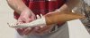 9-1/2 inches long Alligator Bone Knife with sheath, from Gator Jaw Bones (You are buying the one pictured for $17.00)