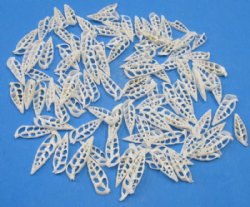 Wholesale Center Cut Cerithium vertagus seashells in bulk 2" - 100 pieces @ .15 each; 500 pcs @ $.13 each