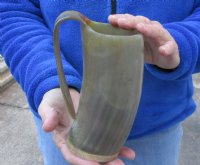 Polished Cow horn mug, Ox horn mug with wood base/bottom 6-1/2 inches tall for $26