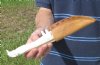 10-3/4 inch Alligator Carved Jaw Bone Knife with sheath hand crafted out of a real alligator's jaw bone (You are buying the knife shown) for $19.00