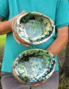 Two piece green abalone shells, 7-1/2 inches (You are buying the two abalone shells pictured) for $10.00 each