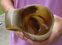 Polished Ox horn mug, Buffalo horn mug with wood base/bottom 8 inches tall for $36