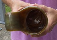 Polished Cow Horn Mug, Buffalo Horn Mug with wood base/bottom measuring approximately 8-1/4 inches tall. Buy now for $36