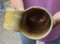 Polished Buffalo Horn Mug, Ox Horn Mug with wood base/bottom measuring approximately 7 inches tall. Available for sale for $30