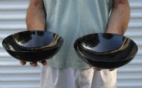 2 pc lot of Polished Ox Horn, Cow Horn bowls measuring 8 inches long Buy Now for $35/lot 
