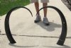 35 inch Pair of Water Buffalo Horns (These are the two water buffalo horns you are buying) for 30.00 each.