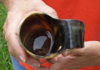 Polished Ox Horn Mug, Cow Horn Mug with wood base/bottom measuring approximately 7 inches tall. Buy now for $27
