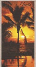 30"x60" Wholesale Fiber Reactive Red and Golden  Ocean Sunset Beach Towels "Florida" - Pack of 6 @ $6.20 each; Case of 12 @ $5.85 each
